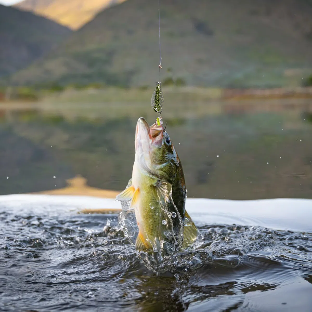 RYAN 16 Pezzi Spoon Trout Area Artificiali Spinning Mare 2.5/3.5/5g cuCchiaini Pesca con Borsa Portatile per Pesca alla Trota in Acqua Dolce e Salata Salmerini Esche Artificiali Spinning