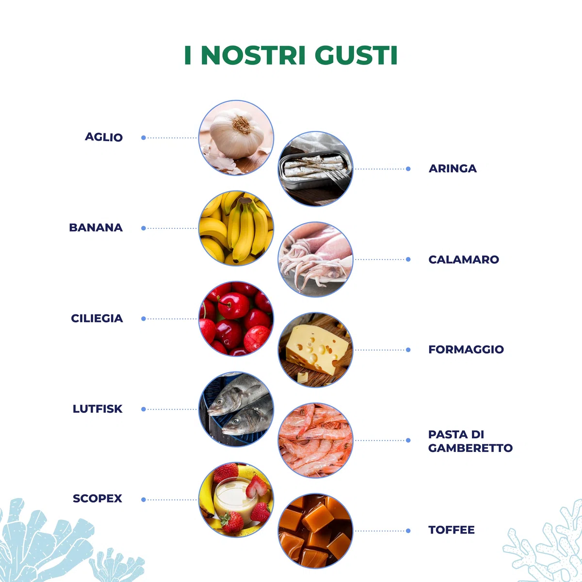 Aroma Aglio per Pesca Sportiva | Attrattivo Liquido da Applicare su Pasture, Esche Artificiali e Boiles (utilizzo a Freddo - No Cottura) - Adatto per la Pesca di Lago e di Mare