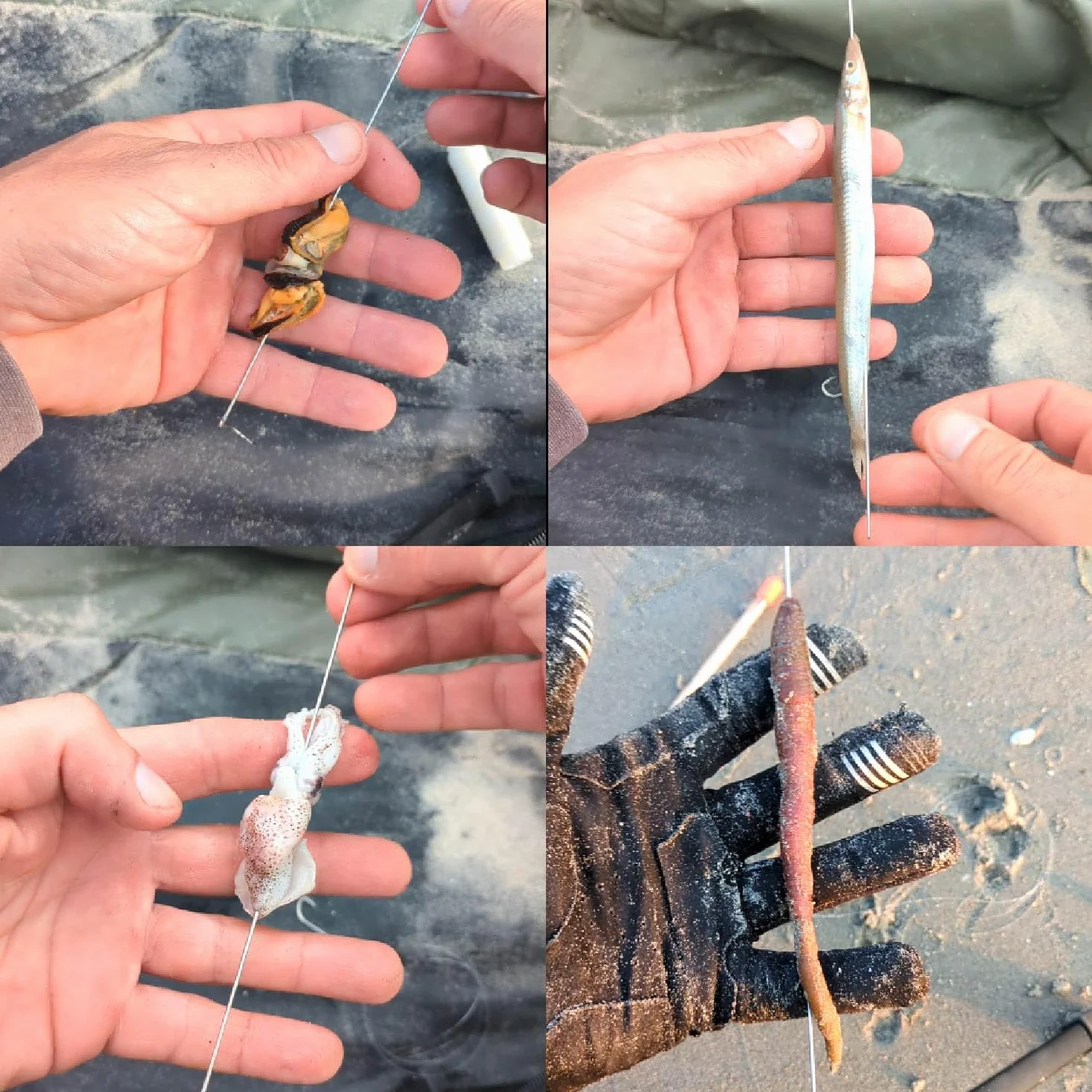 F2M - Scatola di 5 aghi da pesca cavi per escher verso sardine crostacei molluschi - confezioni di aghi da locher + rulli filo da legatura - Lotti aghi + legatura esche - Pesca mare acqua dolce