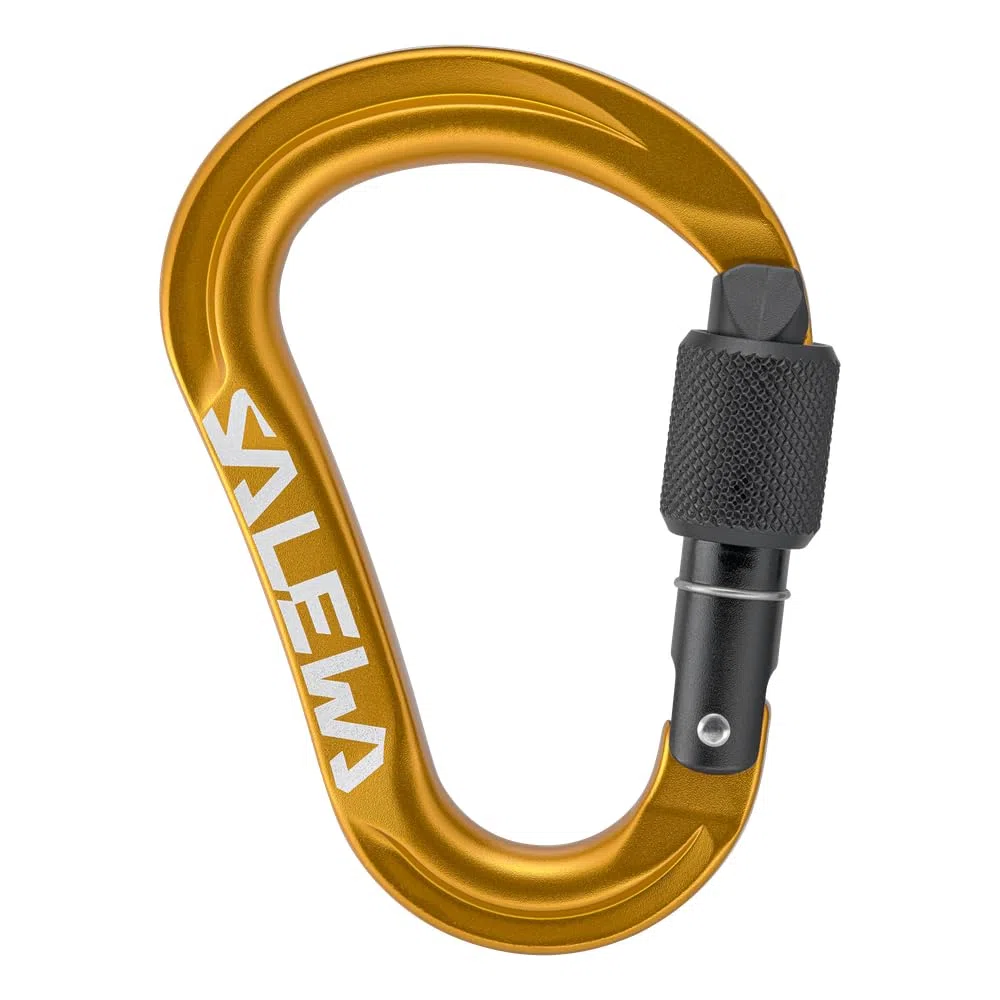 Salewa Ortles HMS S Carabiner - Salewa Ortles HMS S Carabiner, Irish Green, Uni Unisex Adulto