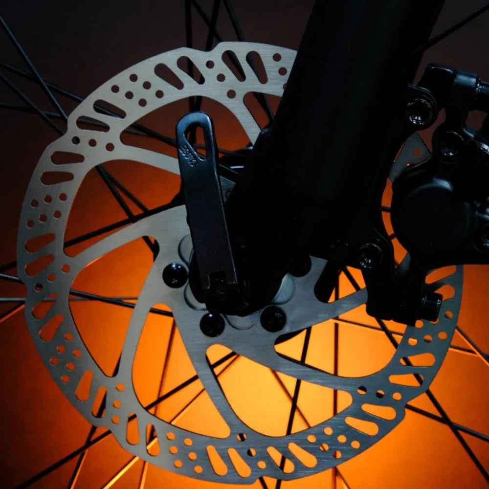 Set di 2 Disco Freno Rotore, 160mm Rotori Freno Disco Per Bicicletta, 6 Fori, in Acciaio Inox, con 12 Viti, per la Maggior Parte della Mountain Bike e Bici da Strada, Distanza Relativa Tra i Fori 44mm