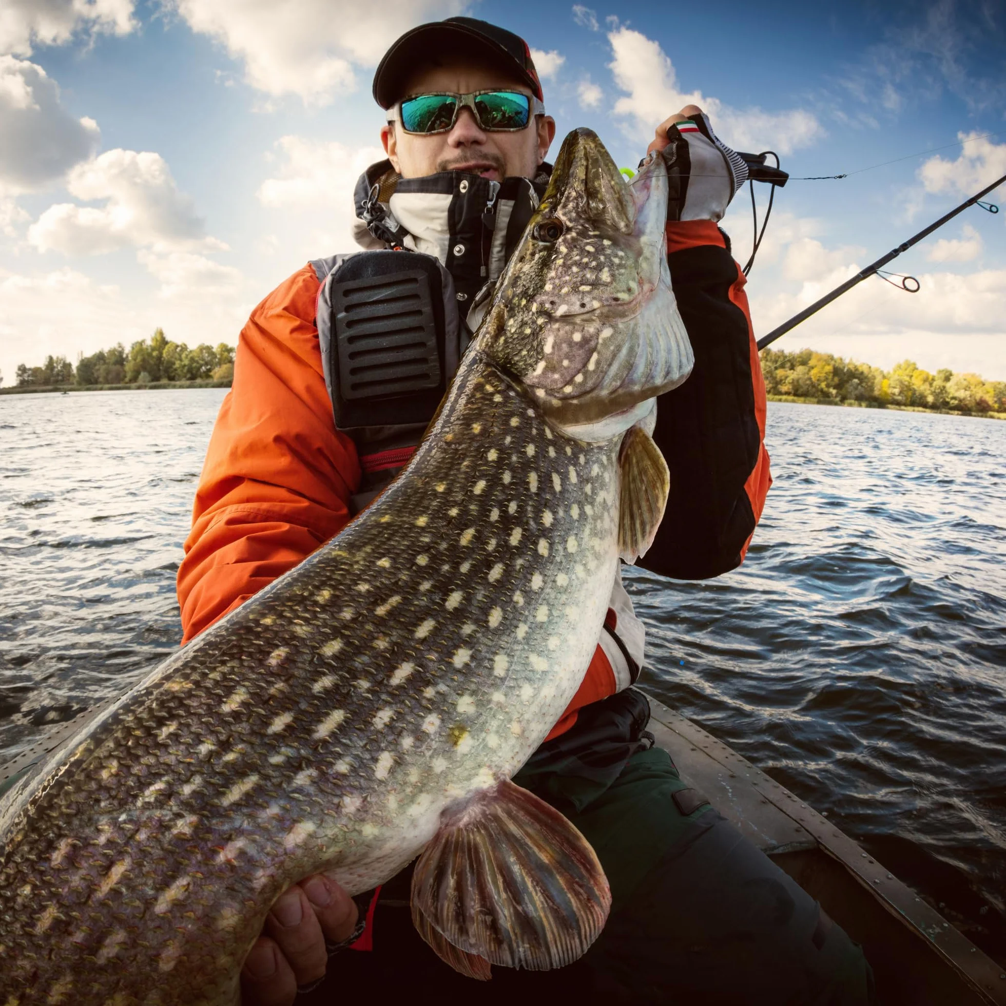 Freccia asimmetrica 23,5 g/8,5 cm – luccio pesce persico – esca da pesca – Cucchiaio di metallo – Esca dura – Set per pesca – Angel Spoon – Esca per luccio – Esca persico