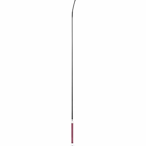 Whip & Go Frusto da condimento, 100 cm, 110 cm, 120 cm, diversi colori