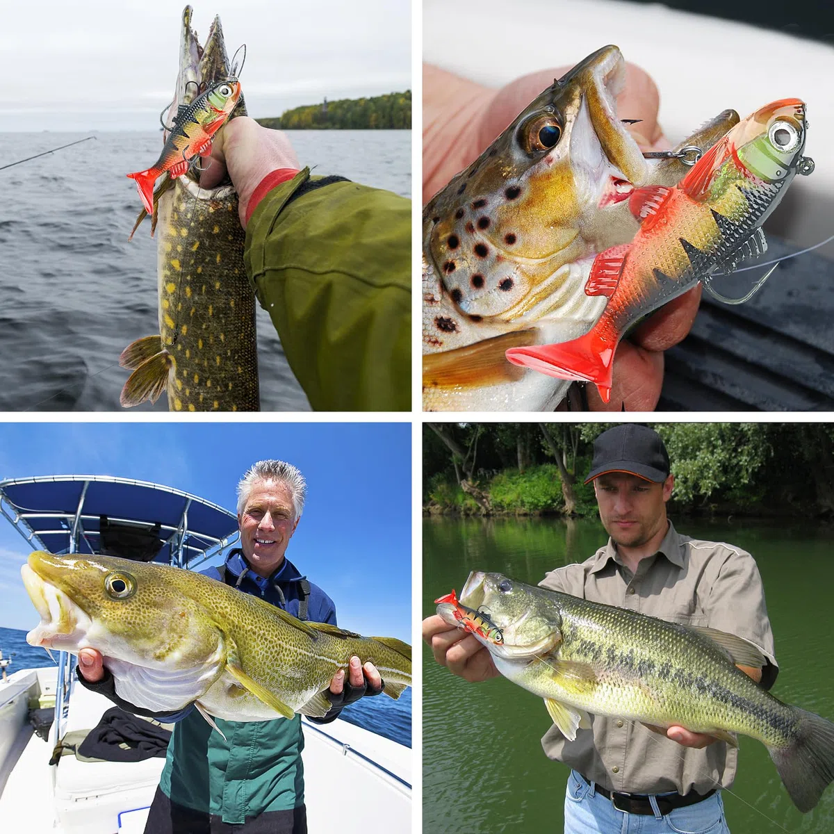Realure 8 Pezzi Kit di Esche Artificiali Spinning Mare, 5 Dimensioni Shad Spinning, Esche da Pesca per Trote d'Acqua Dolce, Minnow Spin per Acqua Salata, Pesca Alla Trota, Spigola, Salmone